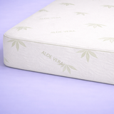 Aloe Care